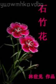 姐夫操我小逼了